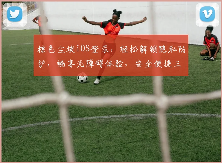 棕色尘埃iOS登录，轻松解锁隐私防护，畅享无障碍体验，安全便捷三重保障