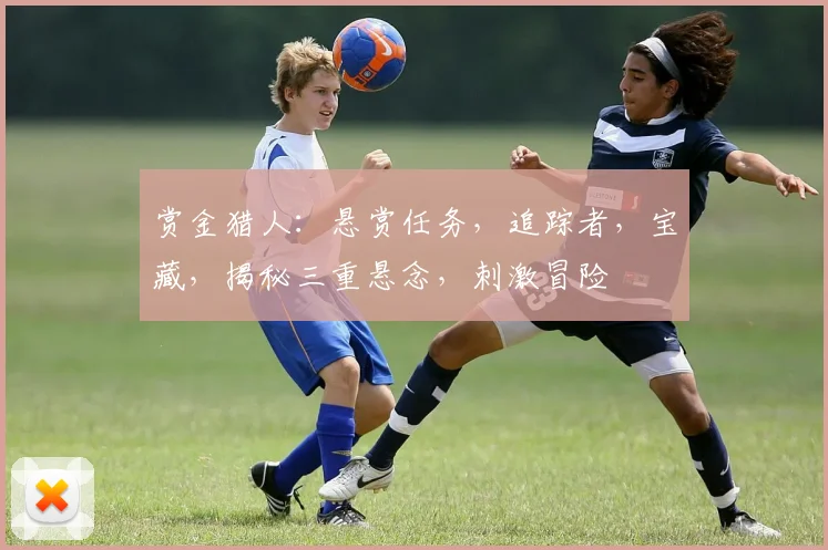 赏金猎人：悬赏任务，追踪者，宝藏，揭秘三重悬念，刺激冒险