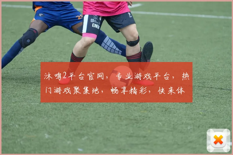 沐鸣2平台官网，专业游戏平台，热门游戏聚集地，畅享精彩，快来体验