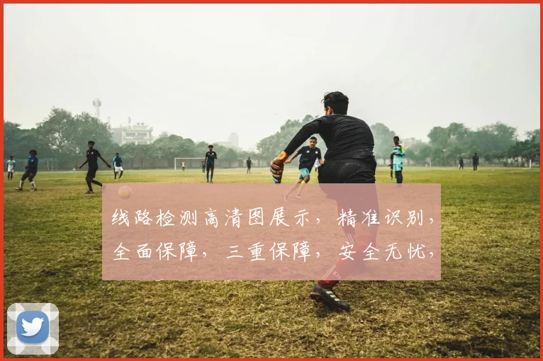线路检测高清图展示，精准识别，全面保障，三重保障，安全无忧，技术领先。