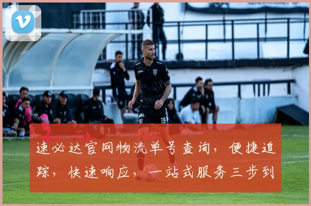 速必达官网物流单号查询，便捷追踪，快速响应，一站式服务三步到位，助您无忧